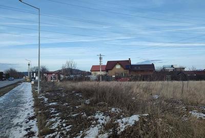 Teren intravilan Sanpetru, 3.900 mp, pentru servicii sau comert. - 3