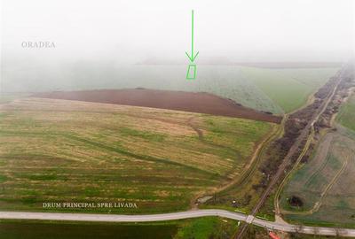 Teren agricol extravilan de 5800 mp, în Livada de Bihor - 3