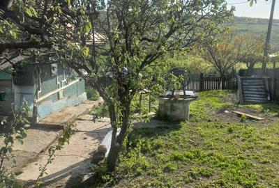 Casă cu 3 camere în Rusca - 8