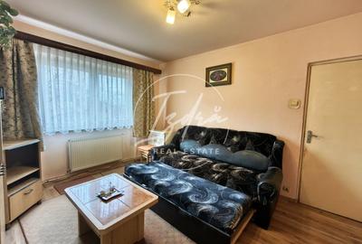 Apartament cu 2 camere semidecomandat, mobilat în Calea Dumbrăvii - 2