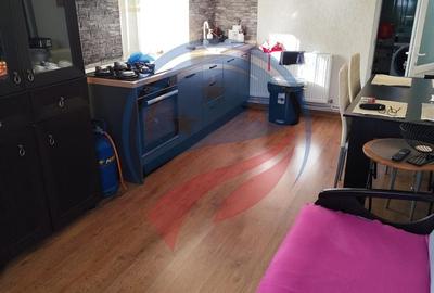 Casa cocheta la 30 minute de Craiova- Cornița Dolj - 2