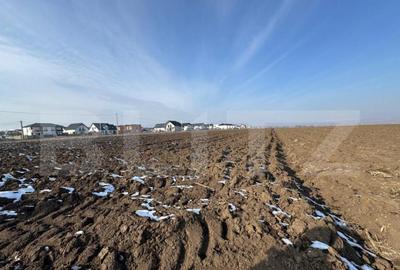 Teren de 1500 mp, în Central