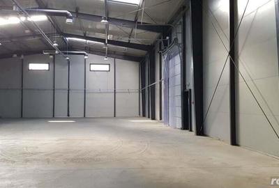 Spatiu de depozitare si productie Mogosoaia - 10