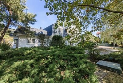 Vilă individuala în zona Iancu Nicolae - 8