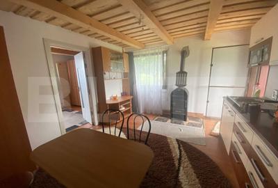 Teren extravilan 10 ari cu Cabana de 45 mp - 5