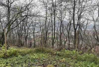 Teren 1357 mp cu vedere panoramica superba Dimitrie Cantemir, Piatra-Neam? - 1