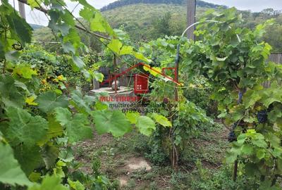 Casă individuală cu 3 camere cu Teren 2663 Mp în Telița - 2