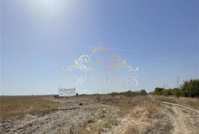 Vanzare teren intravilan zona industriala 5000 mp - Chiajna A1, Ilfov - 5