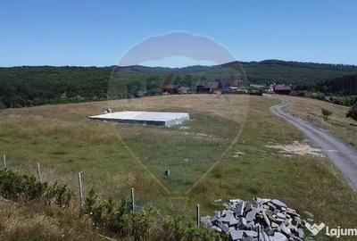 Teren de 3322 mp, în Paltin - 14