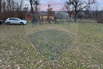 Teren de 1000 mp, în Dumbrăvița - 4