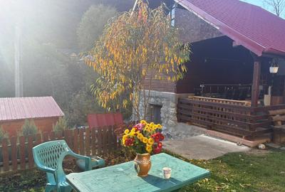 Casa batraneasca renovata Baile Olanesti, Valcea, sat Cheia - 2