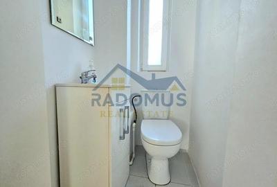 Ap. 4 cam. cu curte proprie+boxa Str. Diligen?ei - Central-Ploie?ti - 11