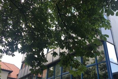 Birou, de 2,530 mp, în P-ța Victoriei - 5