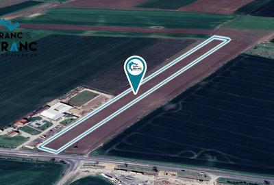 Teren de 28000 mp, în Vladimirescu - 4