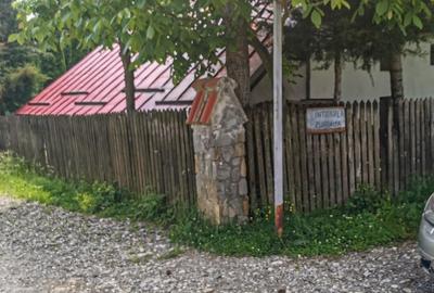 Teren intravilan de 5000, plat, orizontal la poalele muntelui, pe malul Doftanei - 4