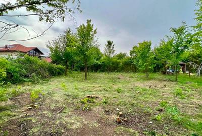 [OFERTĂ RARĂ] 562 mp + drum privat – lângă lac și pădure, Pasărea, Brănești - 2