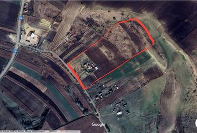 Casă cu 4 camere în Viișoara - 7