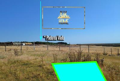 Teren ieftin plaja Vadu Corbu, vanzare - 10