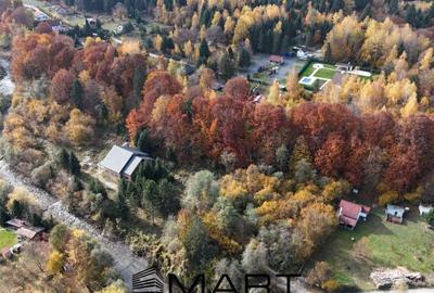 Pensiune 16 camere, teren 1ha, Valea Avrigului Pensiune 16 camere, teren 1ha, Valea Avrigului - 2