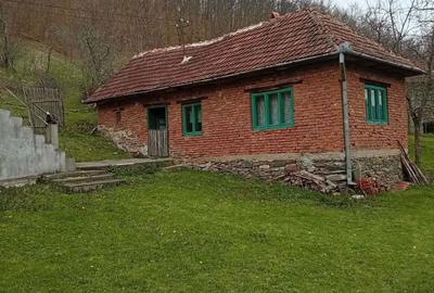 Casă cu 4 camere în Densuș - 4