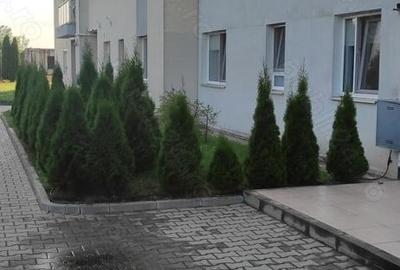Apartament cu 2 camere decomandat în Băneasa - 7