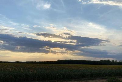 Teren de 12824 mp, în Buftea