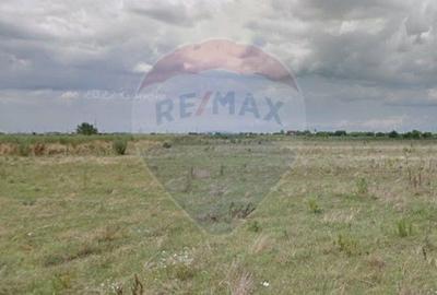 Teren 419mp Magurele / Drumul T32/116, p1, lot 13 - 1