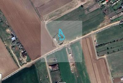 Teren intravilan 2078 mp langa padure - Piscu Ciolpani Snagov - 2