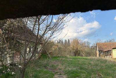Casă cu 2 camere în Alțina - 7