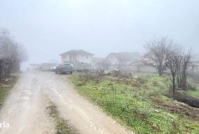 Spațiu comercial, în Malu Mare - 1