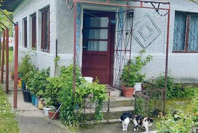 Casă cu 6 camere în Picu - 5