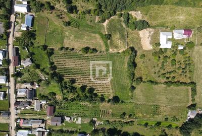 Casa la tara cu 30 ari Rasca - 5