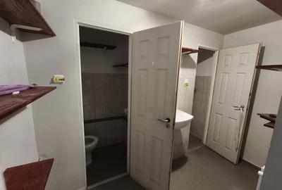 Lugojului SAD 129 mp 1200 euro - 3