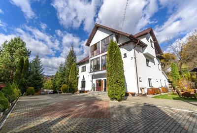 Casă cu 10 camere cu Teren 7600 Mp în Rucăr - 5