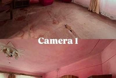 Casă individuală cu 3 camere cu Teren 2319 Mp în Sacoșu Mare - 3