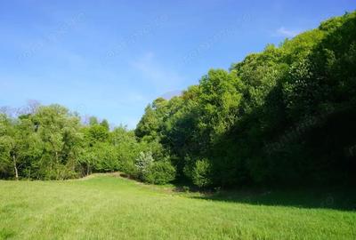 Teren 33,137mp Sighetu Marmatiei / Strada Mocani?ei - 7