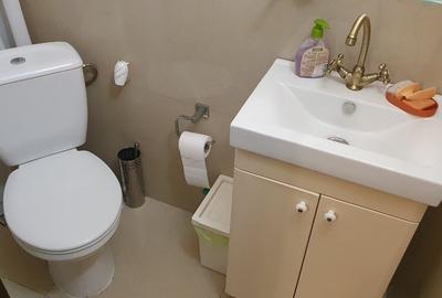 Vila spatioasa Sisesti, Vatra Noua - Padurea Baneasa - 14