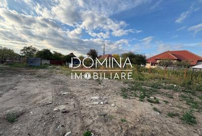 Teren Construcții intravilan de 4449 mp, în Curtișoara - 3