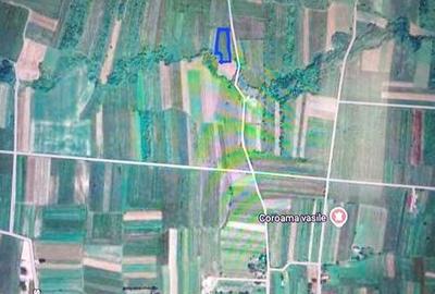 Teren de 3200 mp, în Vicovu de Sus - 5