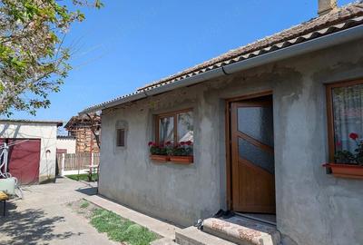 Casă cu 3 camere cu Teren 1000 Mp în Foeni - 4