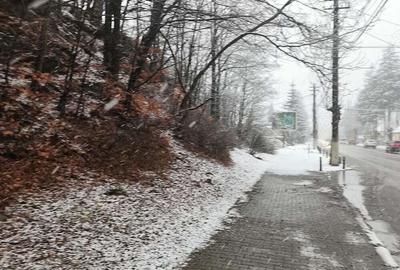 Teren de 4220 mp, în Bușteni - 3