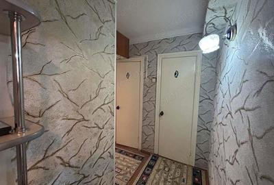 Apartament cu 2 camere în Gorjului - 2