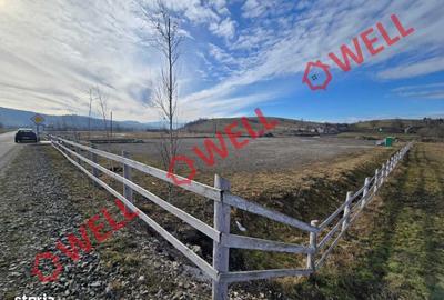 Teren de 6837 mp, în Barcani - 3