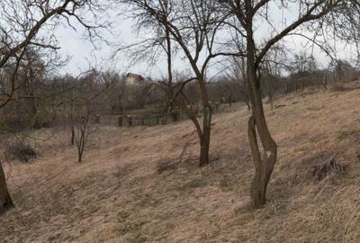 Casă individuală cu 5 camere cu Teren 4183 Mp în Secăria - 3