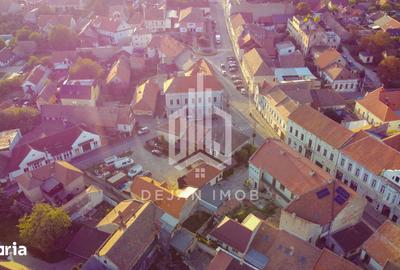 Apartament cu 8 camere în Ultracentral - 2