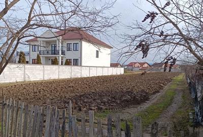 Teren de 2886 mp, în Coșteiu - 5