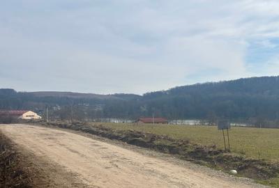 Teren Construcții intravilan de 802 mp, în Pișchia - 9