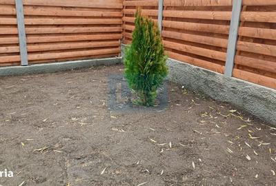 Casă cu 3 camere în Movileni - 2