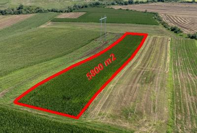 Teren agricol de vanzare - 3