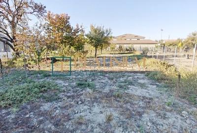 P4695 Casa individuala cu 3 camere in Ghiroda - 11